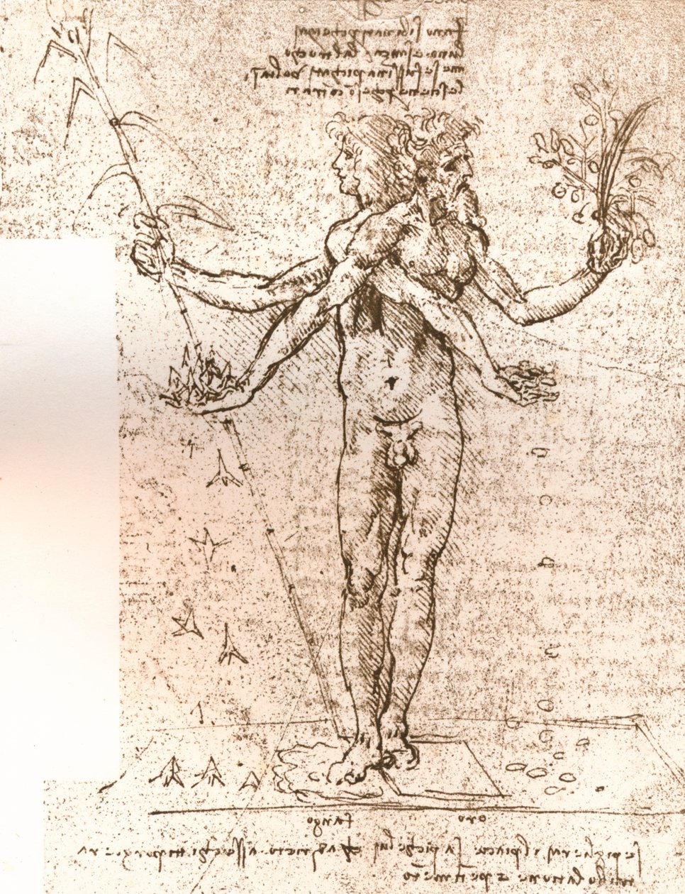 Disegno di una composizione allegorica, c1472-c1519 da Leonardo da Vinci