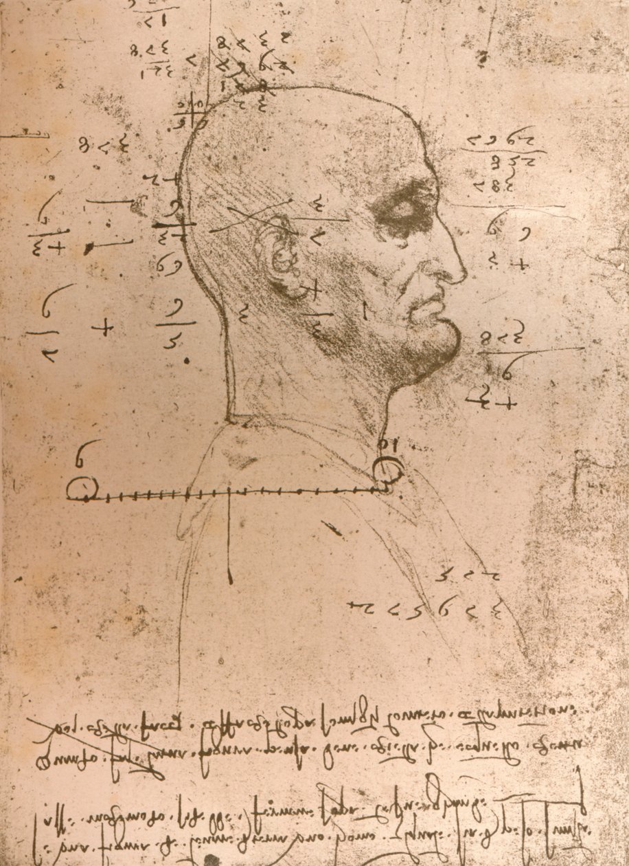 Disegno della testa di un criminale, c1472-c1519 1883 da Leonardo da Vinci