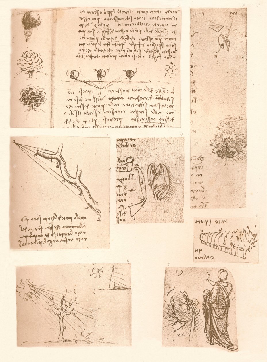 Cinque disegni che illustrano gli elementi della pittura paesaggistica, c. 1472-c. 1519 da Leonardo da Vinci