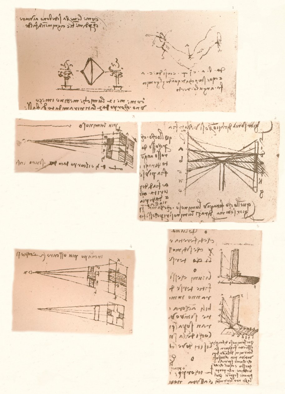 Cinque disegni che illustrano la teoria della pittura, c. 1472-c. 1519, 1883 da Leonardo da Vinci