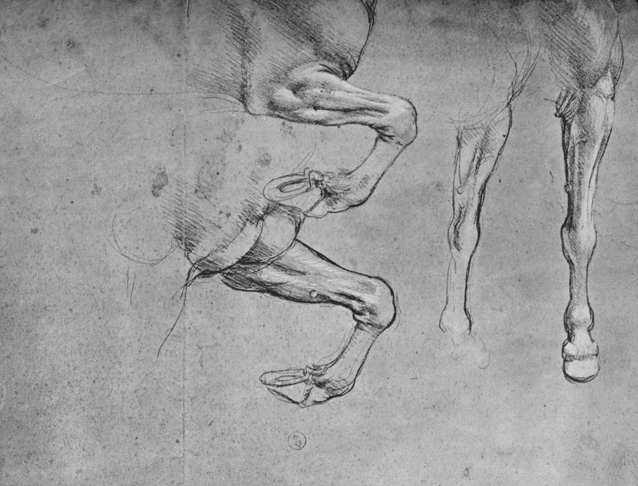 Quattro studi di gambe di cavallo, c. 1480 da Leonardo da Vinci