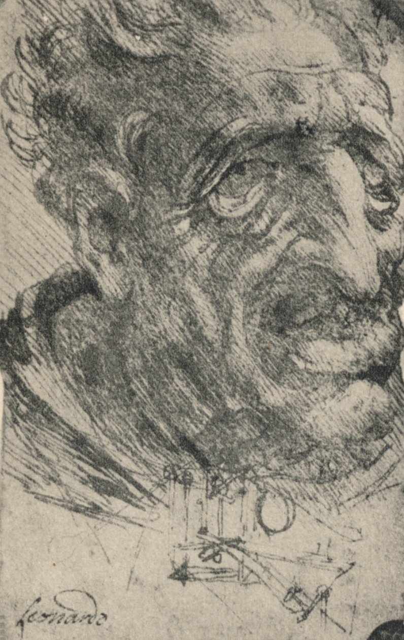 Testa grottesca di un uomo girato di tre quarti a destra, c1480 da Leonardo da Vinci
