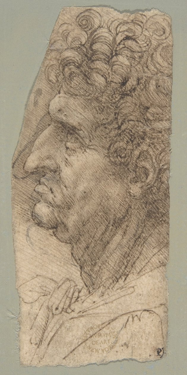 Testa di uomo di profilo rivolta verso sinistra da Leonardo da Vinci