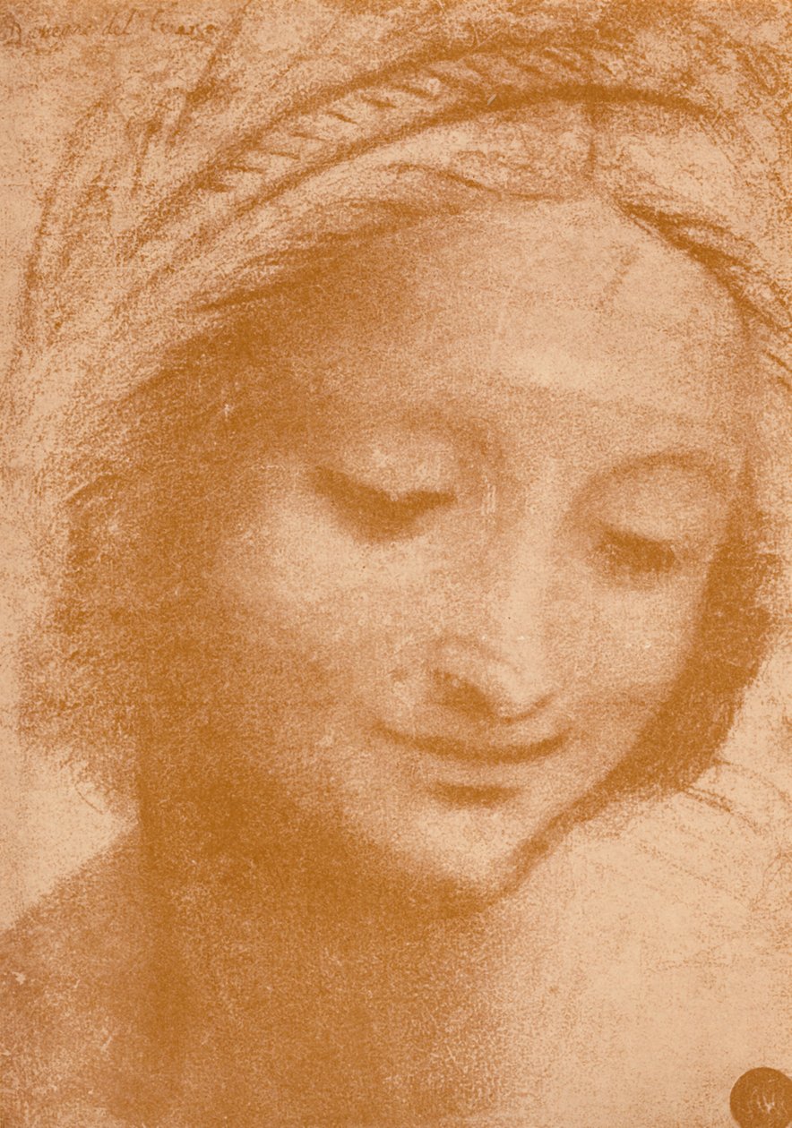 Testa di una donna, XV secolo, 1932 da Leonardo da Vinci