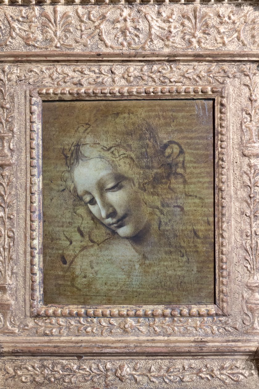 Testa di una donna, chiamata "la scapigliata", c.1492-1501 da Leonardo da Vinci