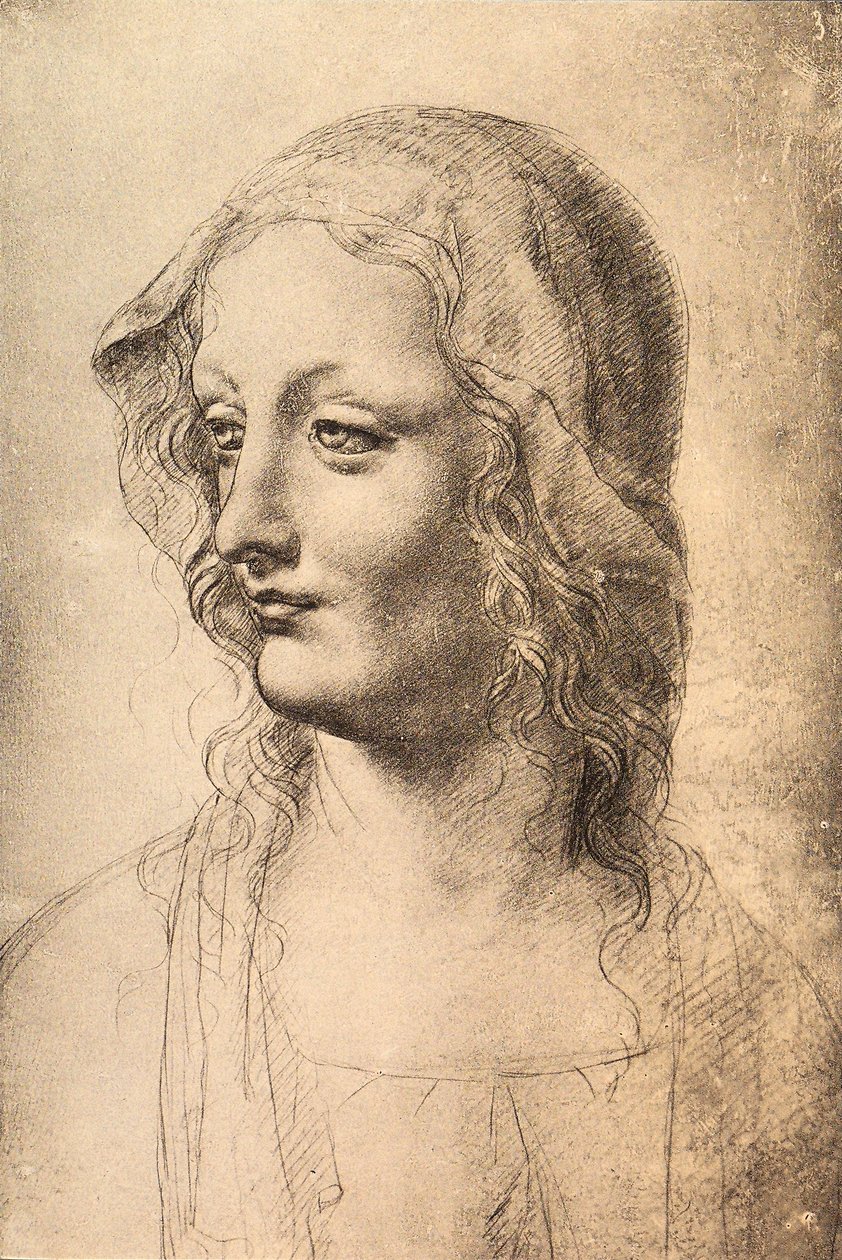 Testa di una giovane donna da Leonardo da Vinci