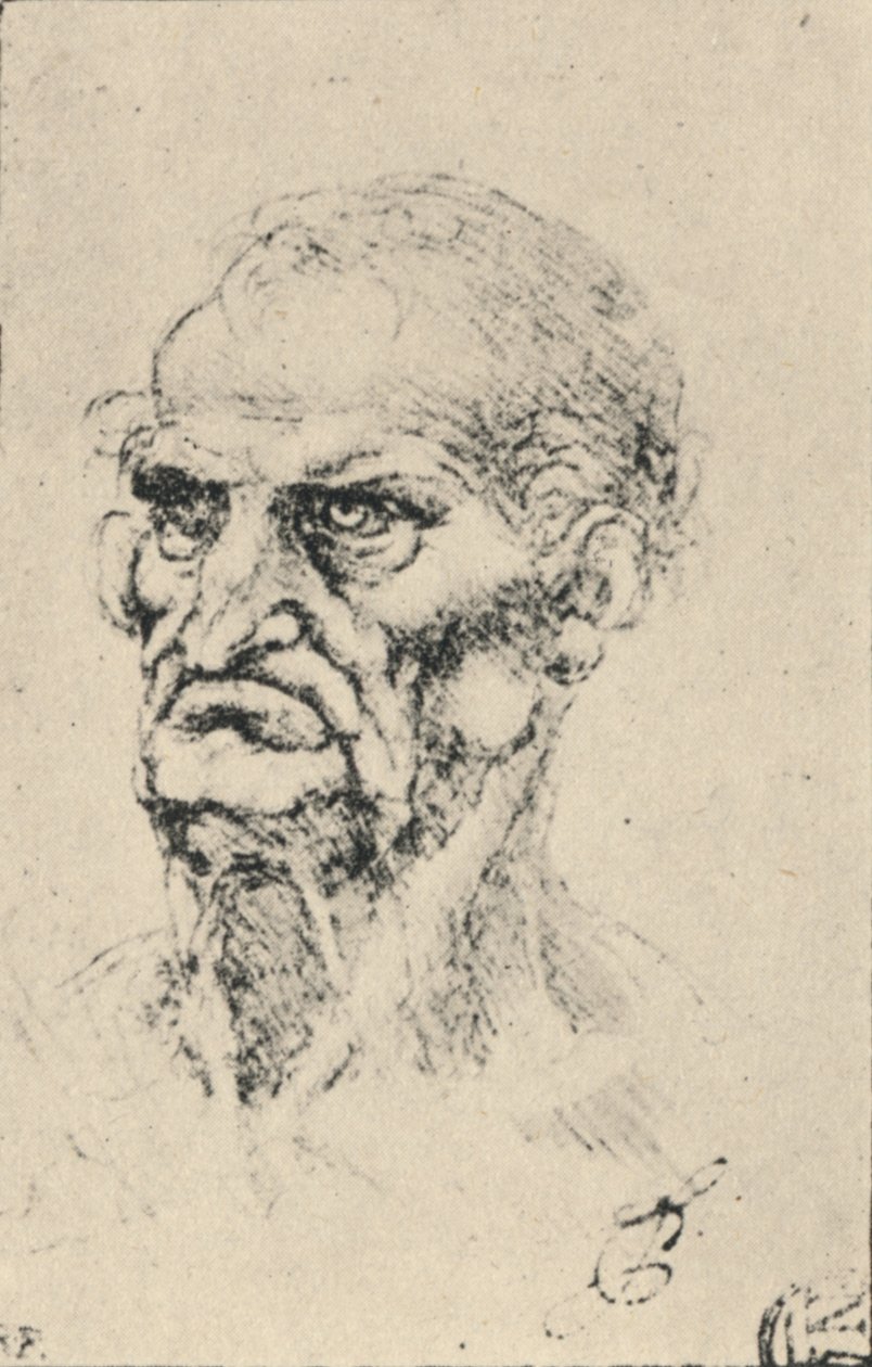 Testa di un vecchio tre quarti a sinistra, c1480 1945 da Leonardo da Vinci