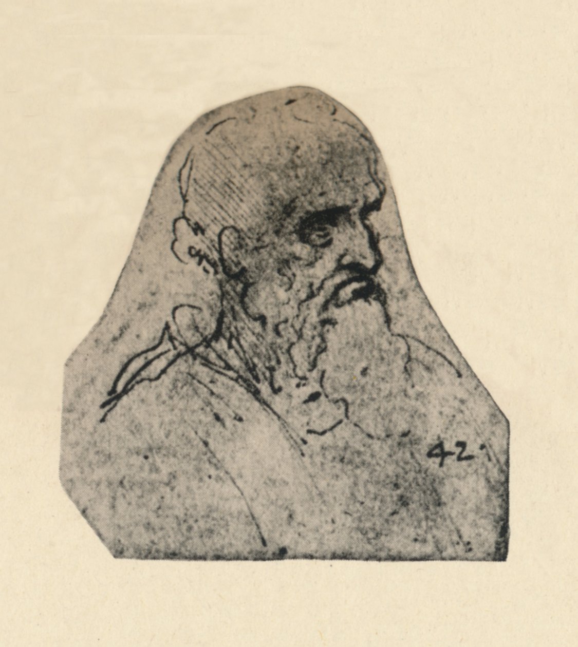 Testa di un vecchio girata a destra, c1480 1945 da Leonardo da Vinci