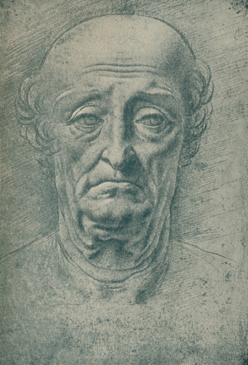 Testa di un vecchio, XV secolo, 1932 da Leonardo da Vinci