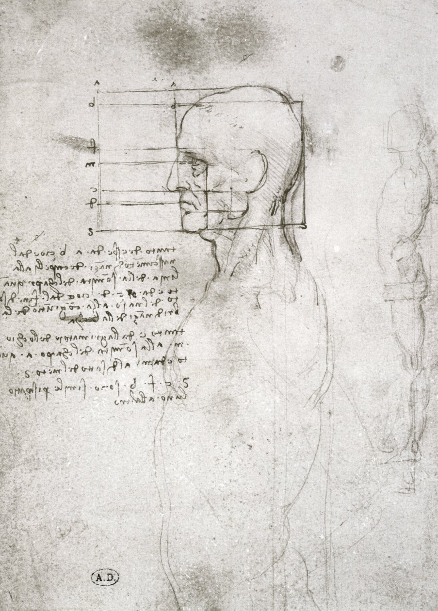 Testa di un Vecchio in Profilo, copia facsimile da Leonardo da Vinci