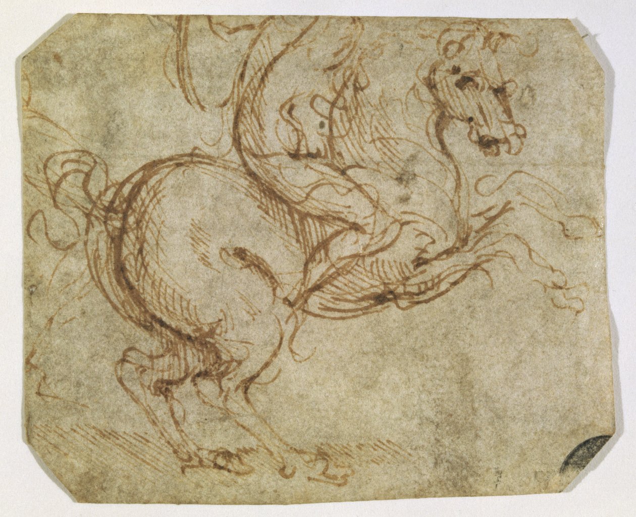 Cavallo e cavaliere da Leonardo da Vinci
