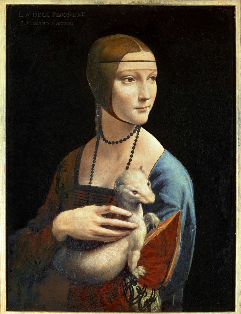 Signora con ermellino (dipinto su tavola) da Leonardo da Vinci