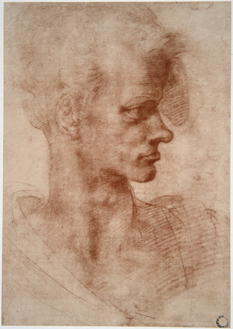 Caricatura di un giovane uomo da Leonardo da Vinci