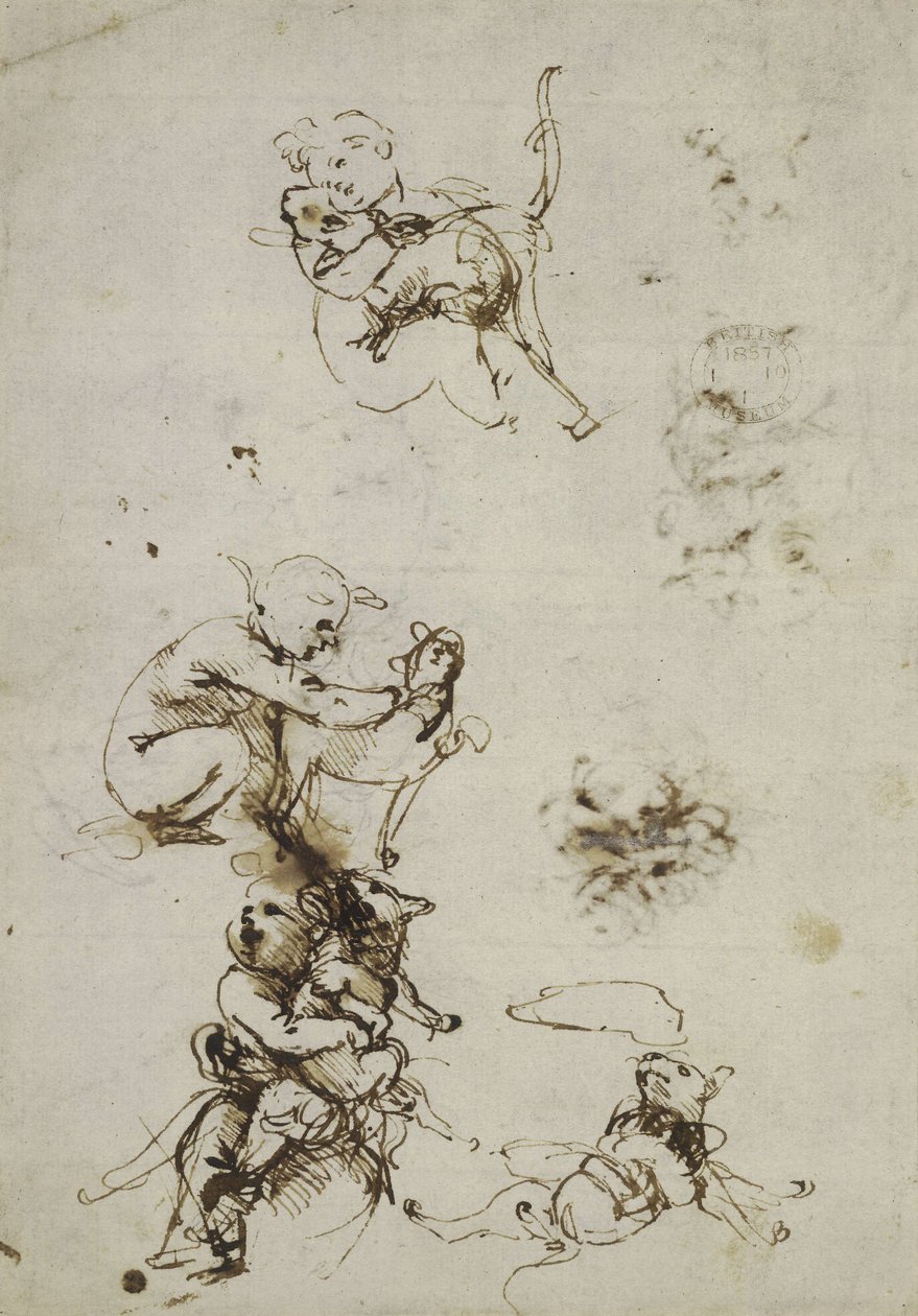 Leonardo da Vinci, oggetto 1857.0110.1 - recto (British Museum) da Leonardo da Vinci