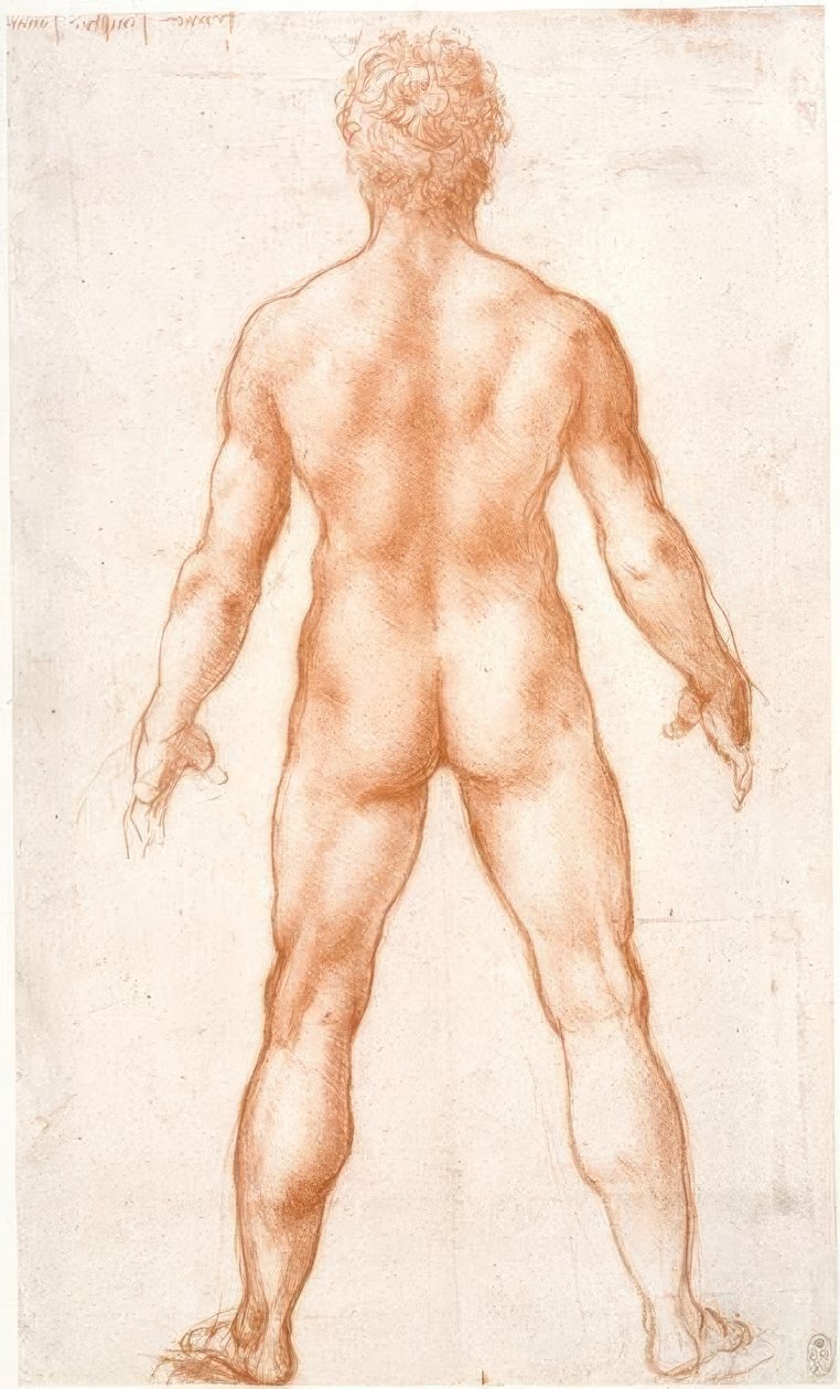 Nudo maschile di schiena da Leonardo da Vinci