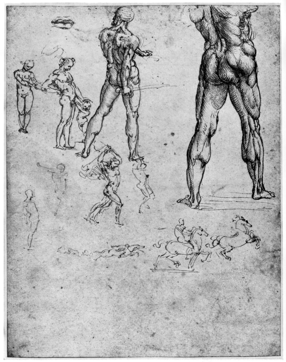 Studi di nudi per La Battaglia di Anghiari, c1503-1505 da Leonardo da Vinci