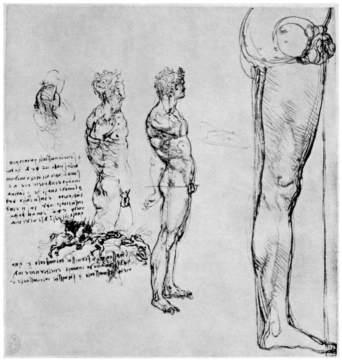 Studi di nudo per La battaglia di Anghiari da Leonardo da Vinci