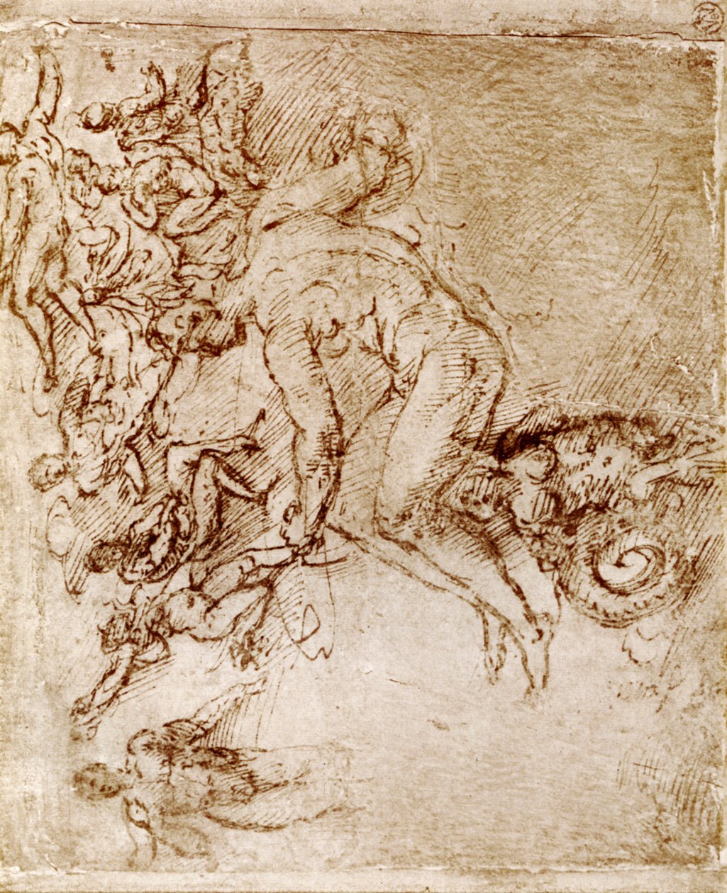 Schizzi a penna e inchiostro di Leonardo Da Vinci, 1913 da Leonardo da Vinci