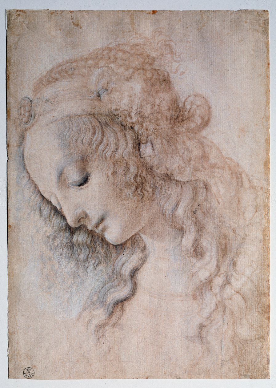 Ritratto di ragazza da Leonardo da Vinci