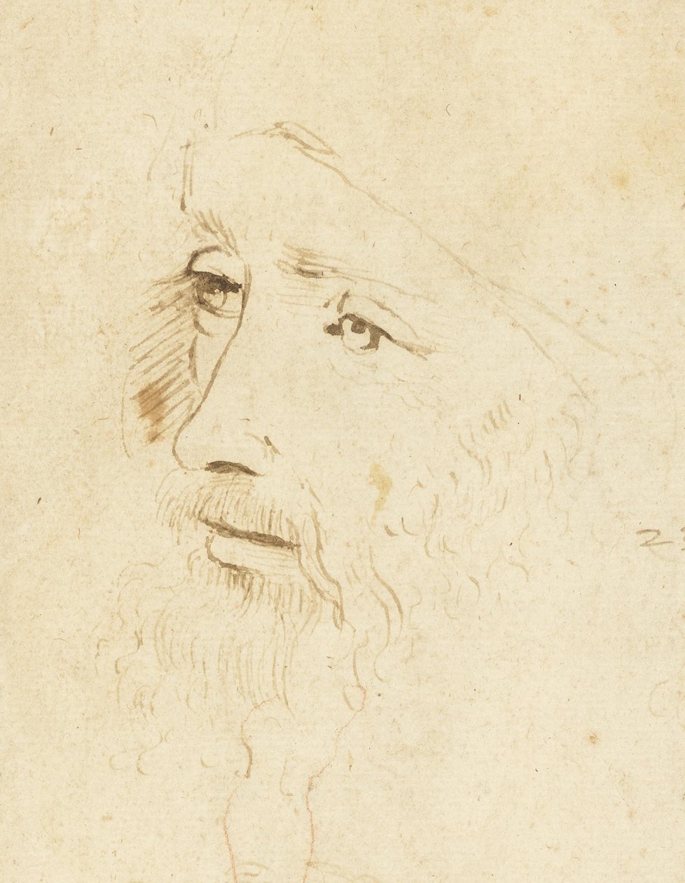 Ritratto di Leonardo da Vinci, ca 1518 da Leonardo da Vinci,