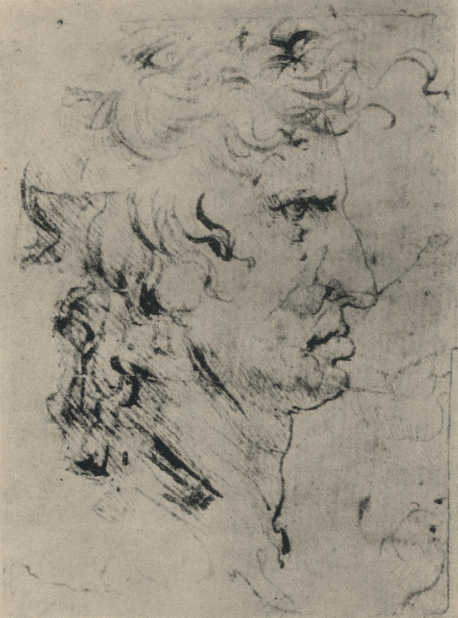 Profilo di un Uomo a Destra, c1480 1945 da Leonardo da Vinci
