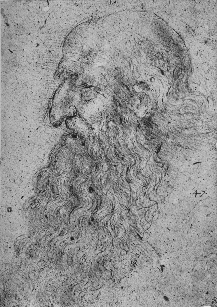 Profilo di un vecchio barbuto a sinistra, c1480 1945 da Leonardo da Vinci