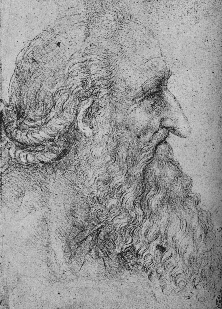 Profilo di un vecchio barbuto a destra da Leonardo da Vinci