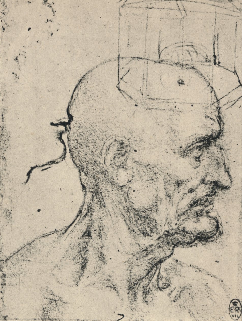 Profilo a destra di un uomo calvo, c1480 1945 da Leonardo da Vinci