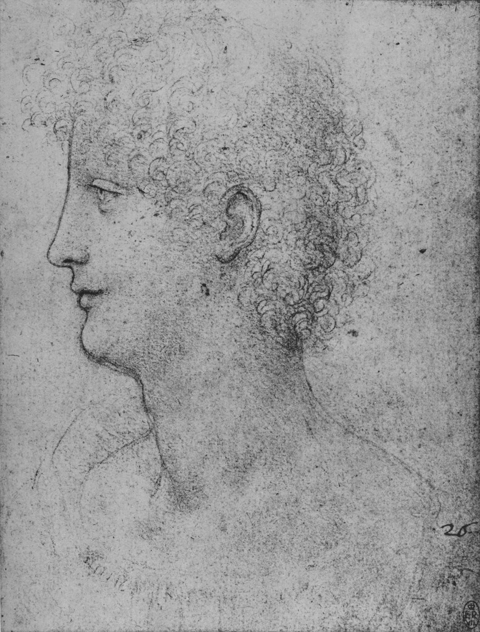 Profilo a sinistra di un giovane riccioluto, c1480 1945 da Leonardo da Vinci