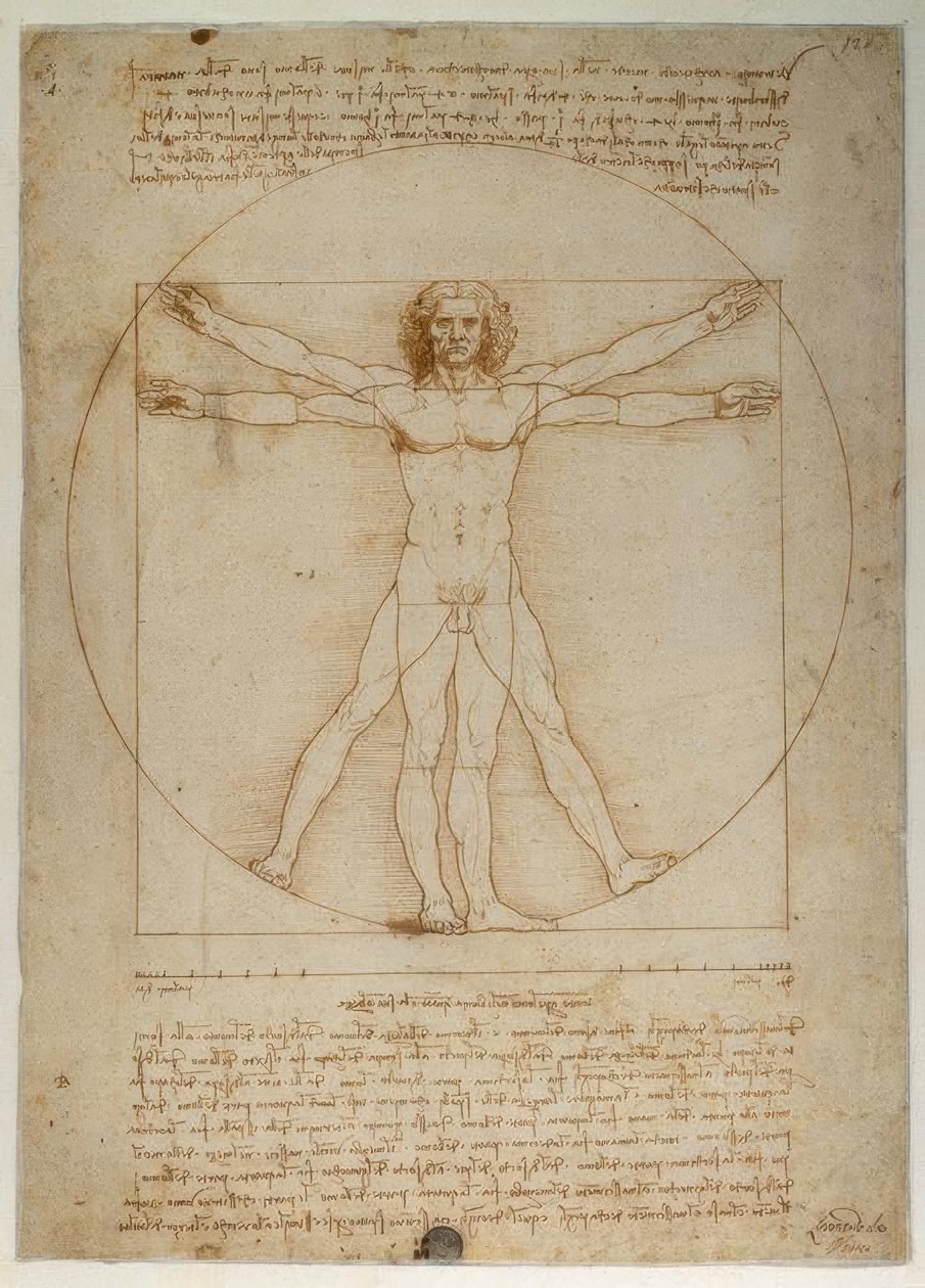 Schema delle proporzioni del corpo umano secondo Vitruvio da Leonardo da Vinci