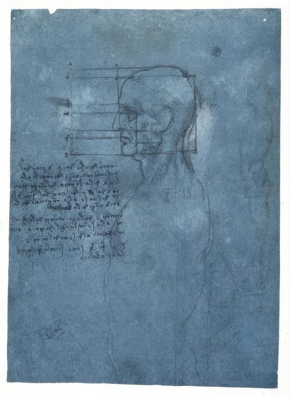 Studio delle proporzioni di una testa maschile di profilo da Leonardo da Vinci
