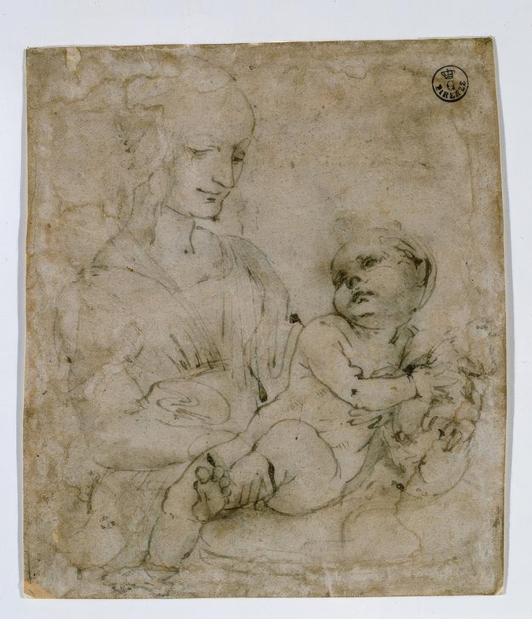 Studio per la Madonna con gatto da Leonardo da Vinci