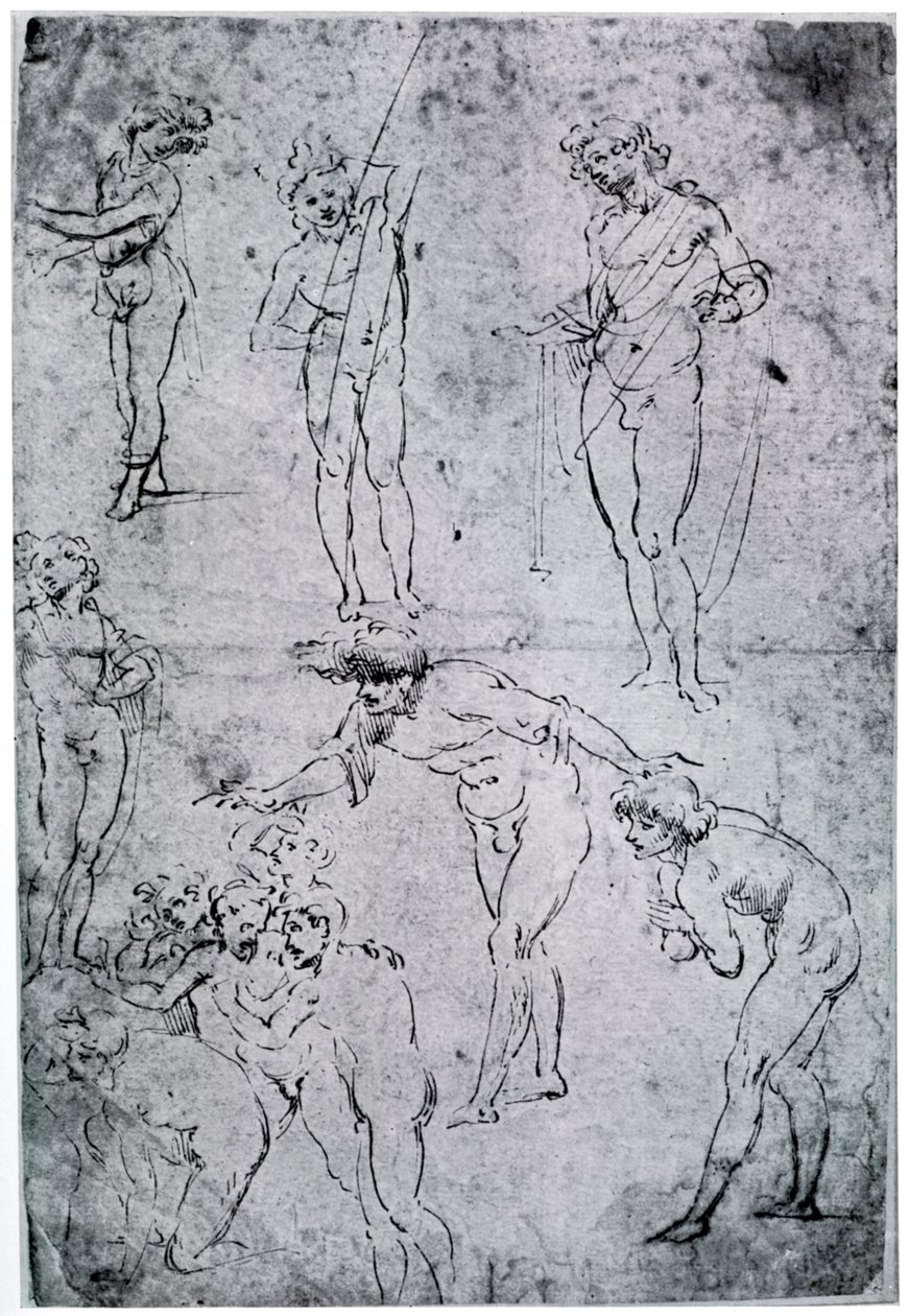 Studi per L