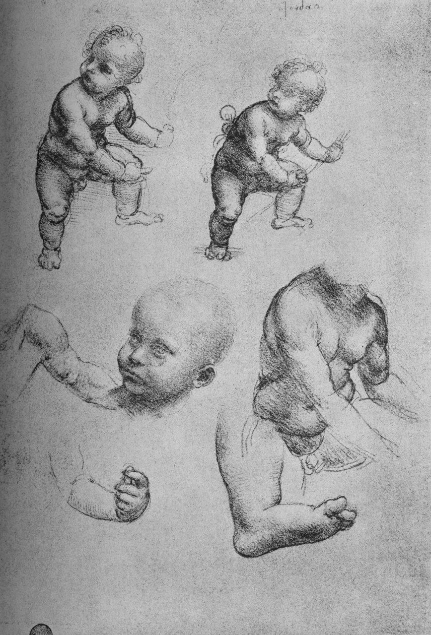 Studi di un bambino e parti di un bambino da Leonardo da Vinci