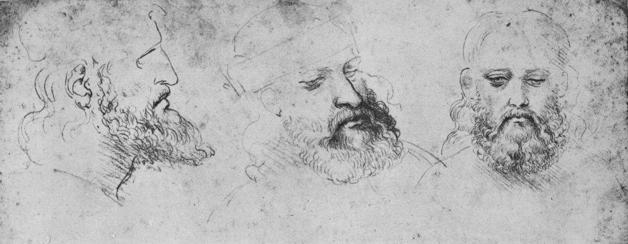 Studi della testa di Cesare Borgia da tre punti di vista da Leonardo da Vinci