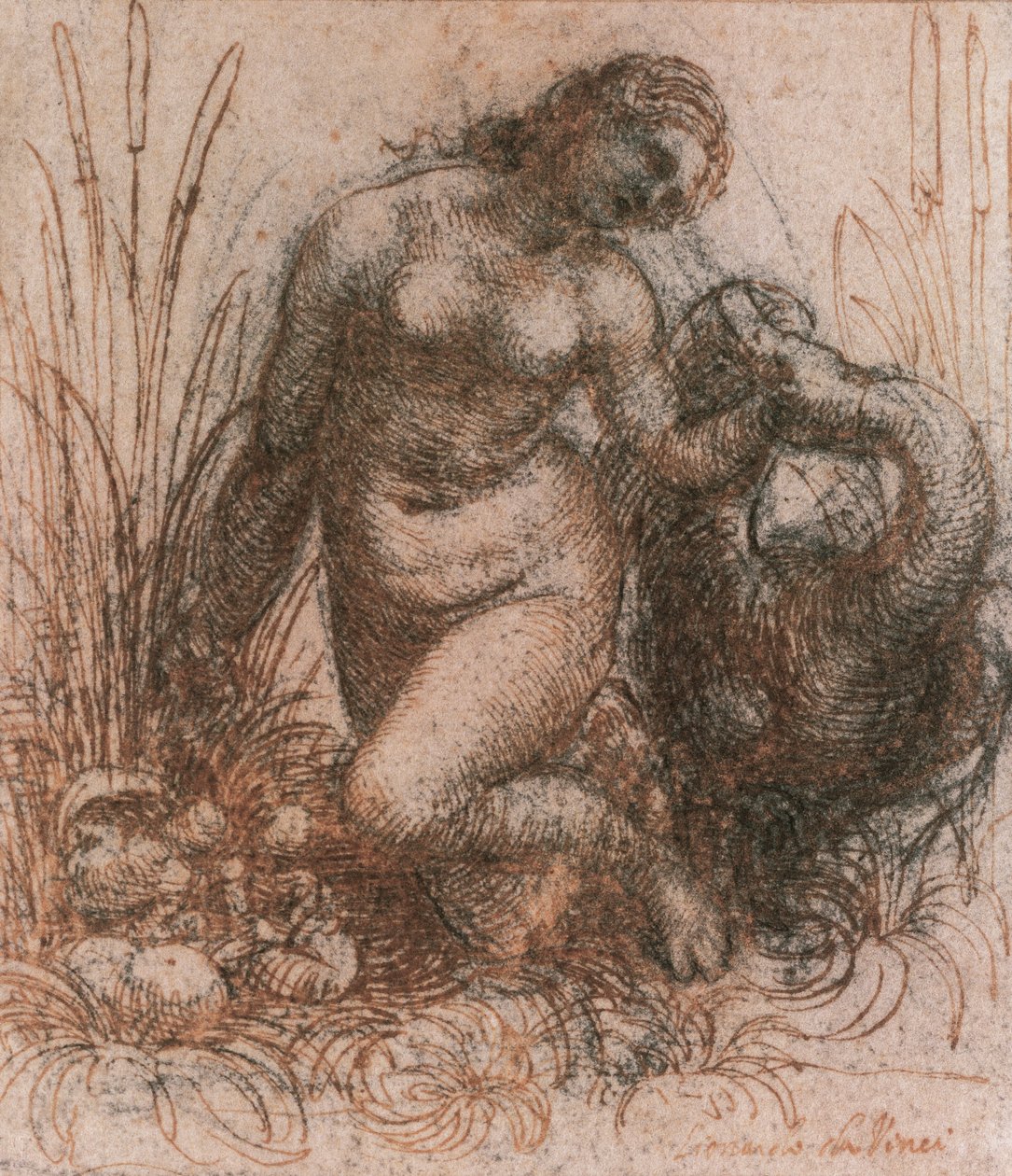 Studio per Leda e il cigno da Leonardo da Vinci