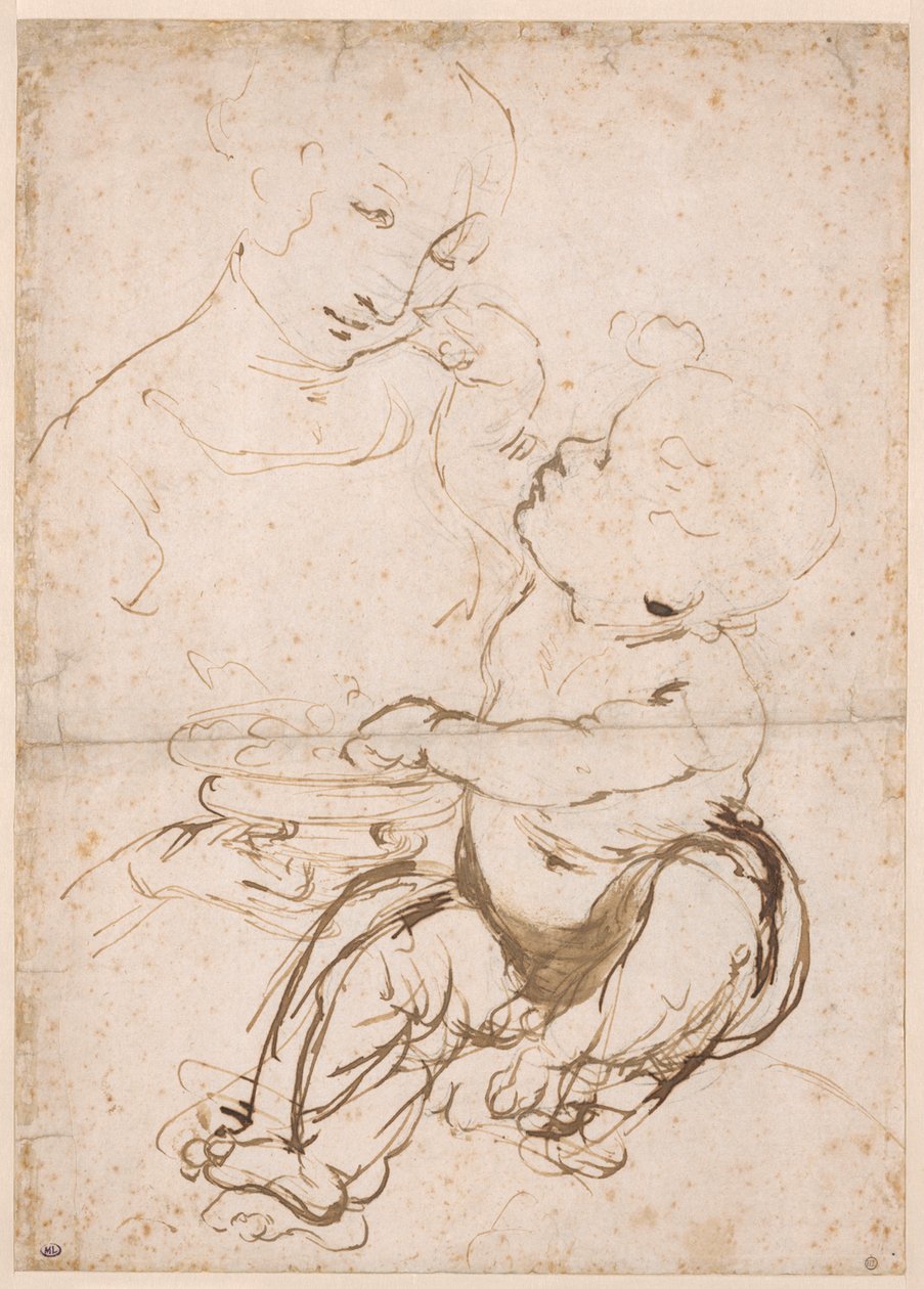 Studio per la Madonna con una ciotola di frutta da Leonardo da Vinci