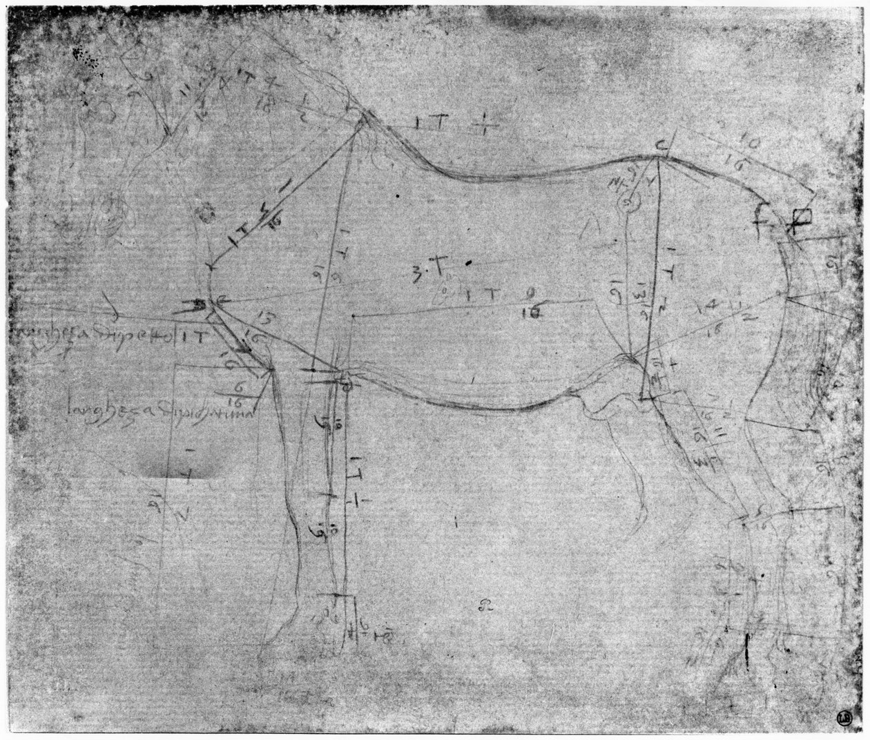 Studio di un cavallo da Leonardo da Vinci