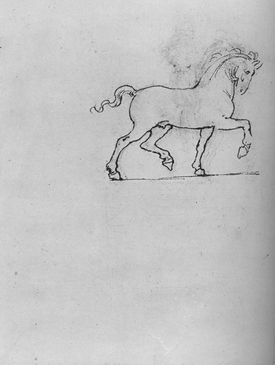Studio di un cavallo, c1480 1945 da Leonardo da Vinci