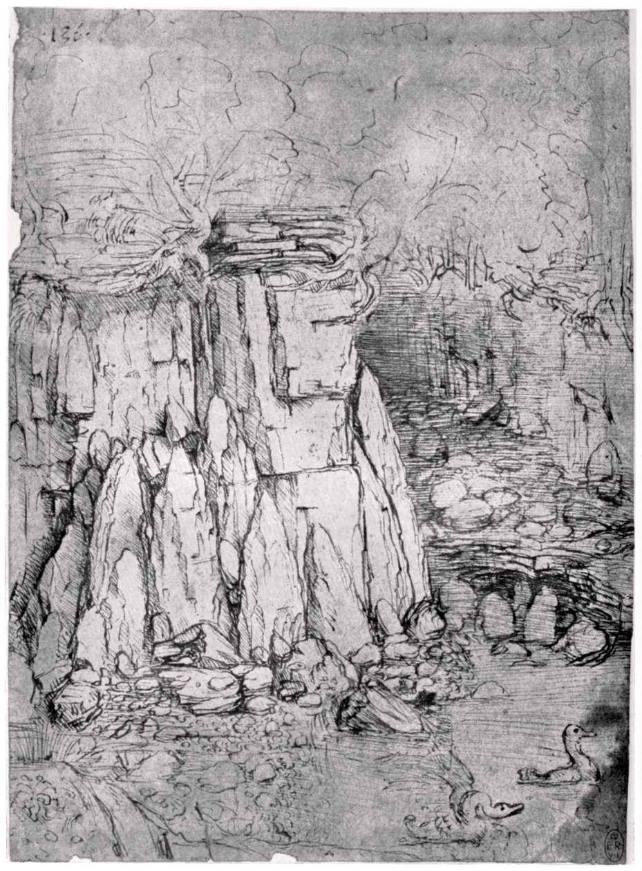 Studio di una caverna rocciosa con anatre da Leonardo da Vinci
