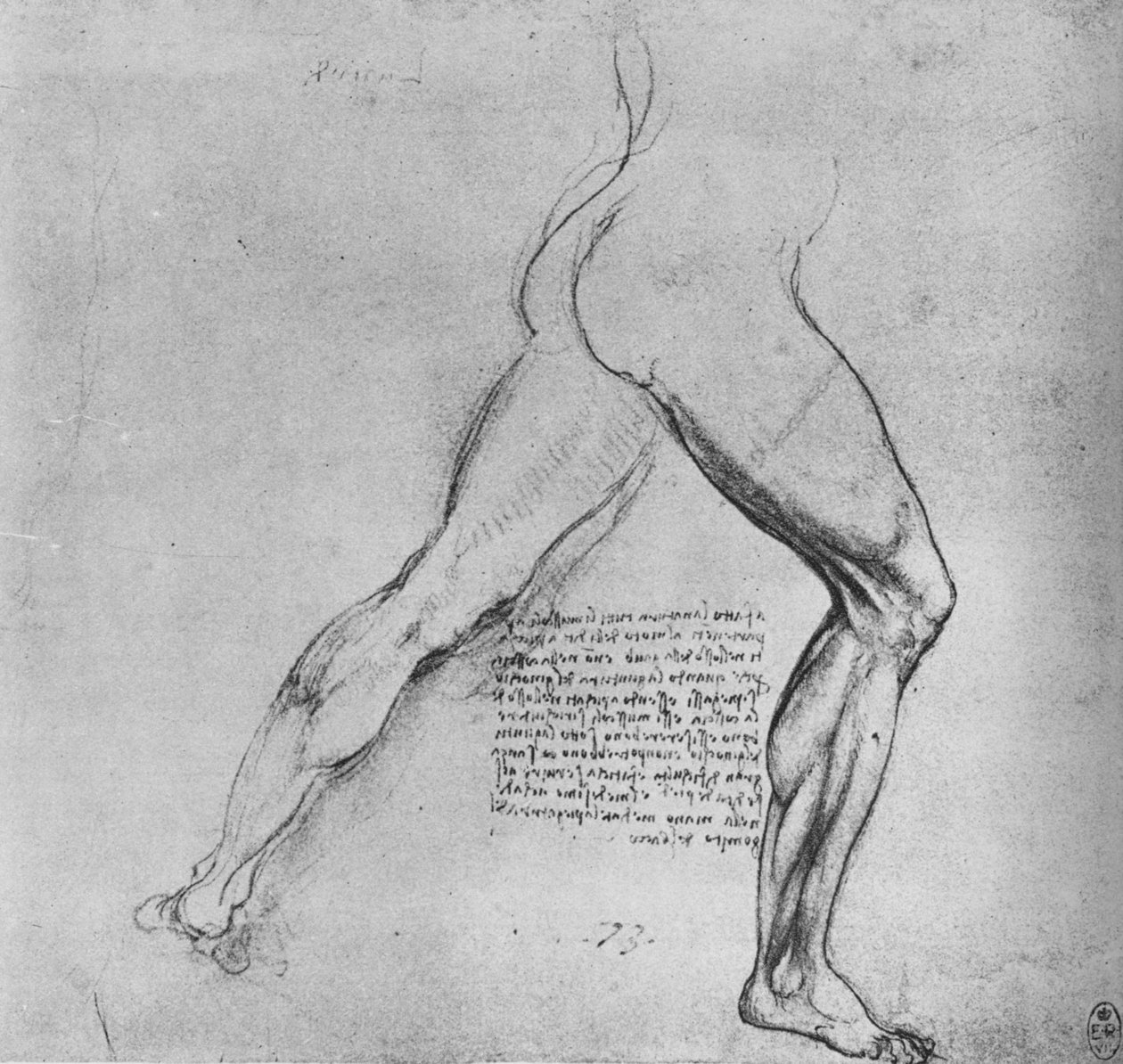 Studio delle gambe di un uomo che affonda a destra, c1480 1945 da Leonardo da Vinci