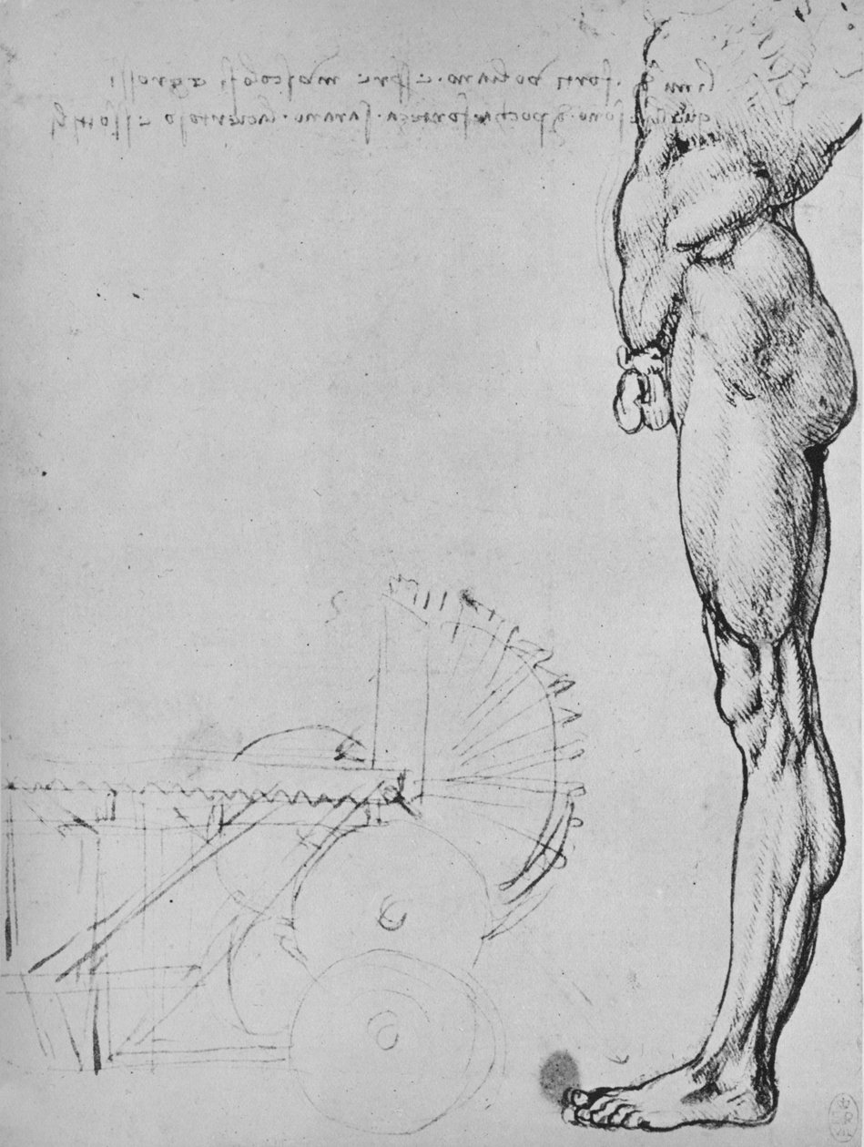 Studio della metà inferiore di un uomo e di macchinari, c1480 1945 da Leonardo da Vinci