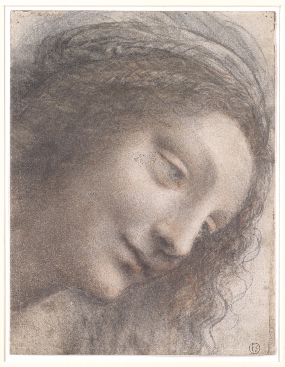 La testa della Vergine in prospetto a tre quarti, rivolta verso destra da Leonardo da Vinci