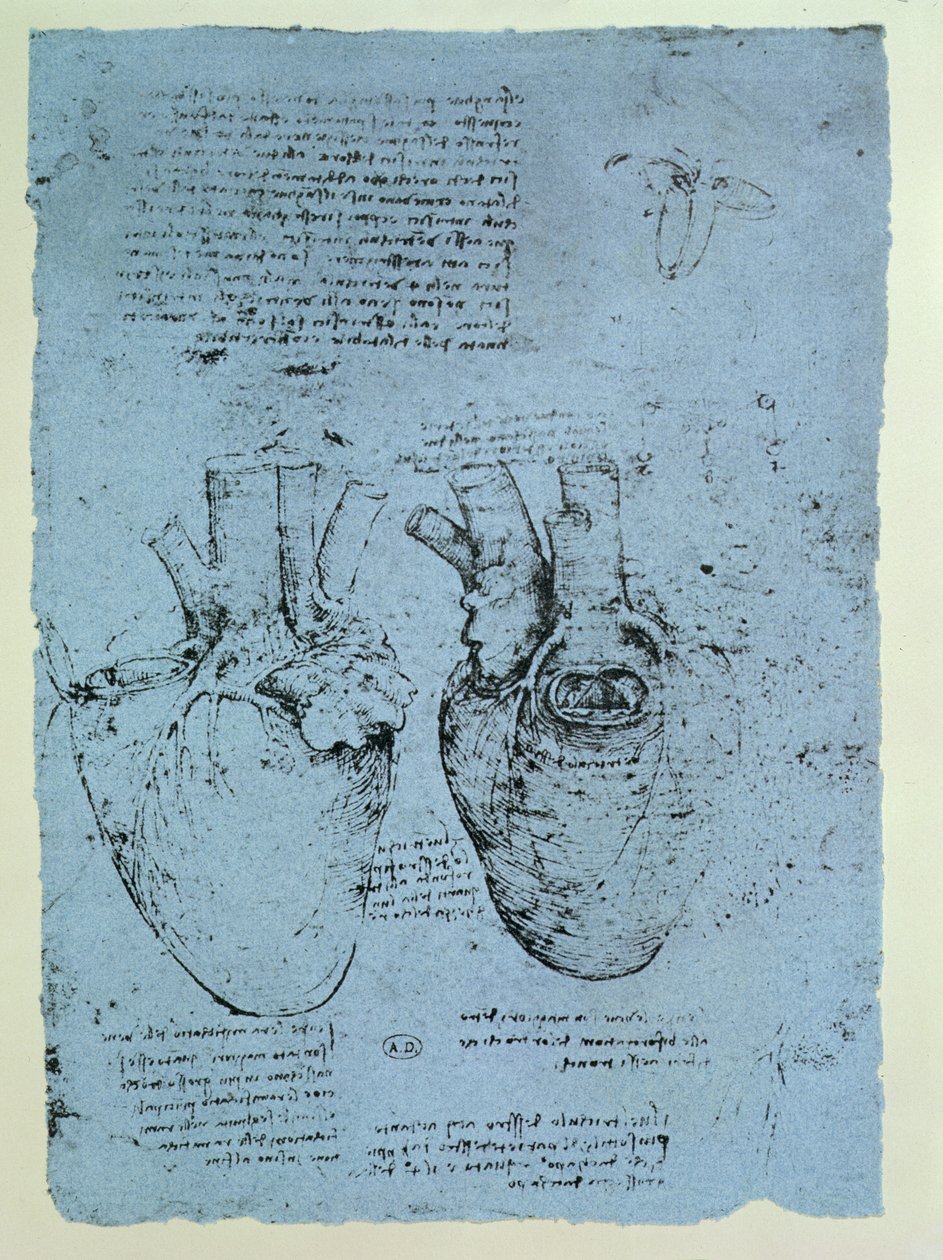 Il Cuore, facsimile del libro di Windsor da Leonardo da Vinci