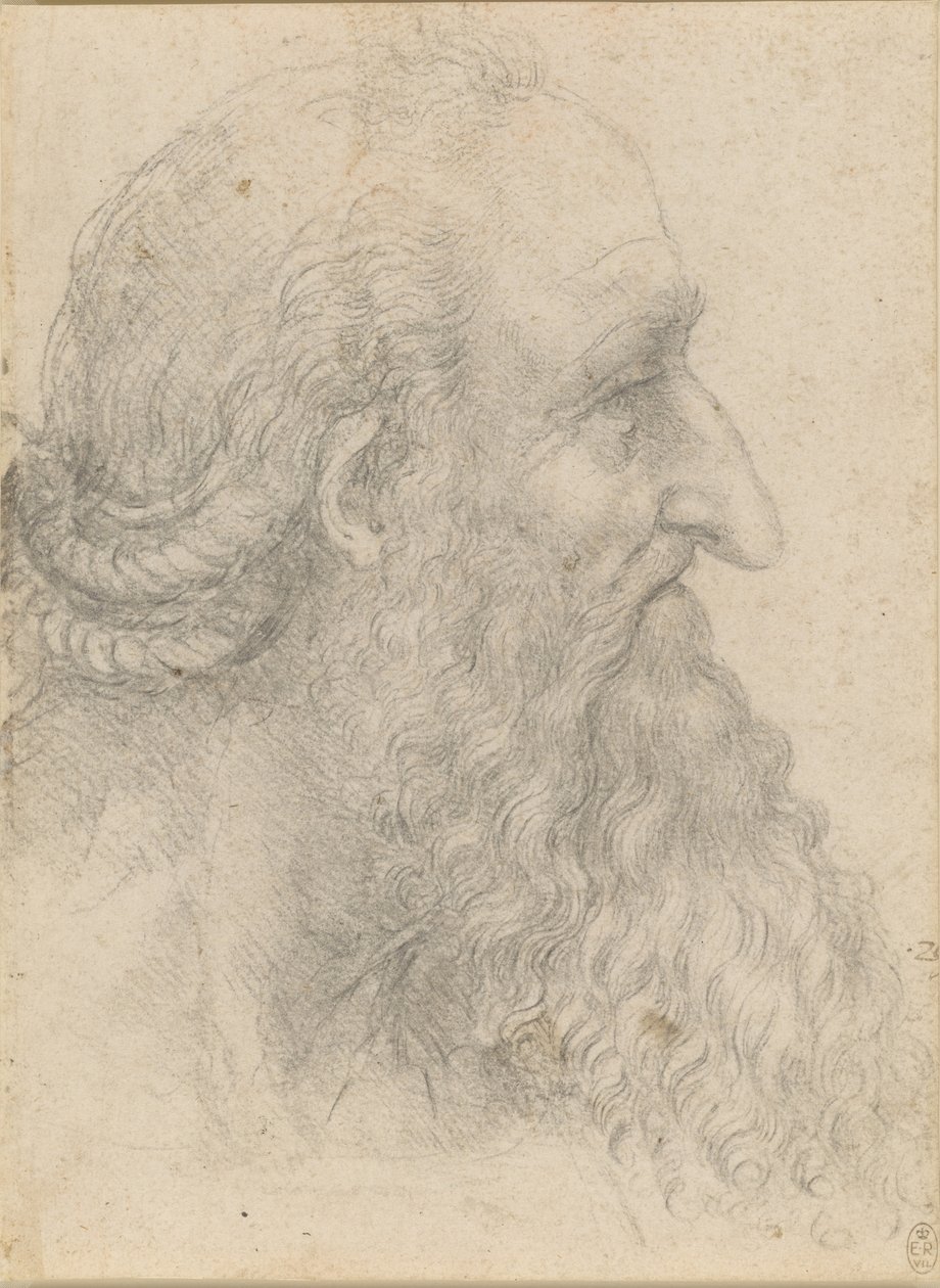 Testa di un vecchio barbuto da Leonardo da Vinci