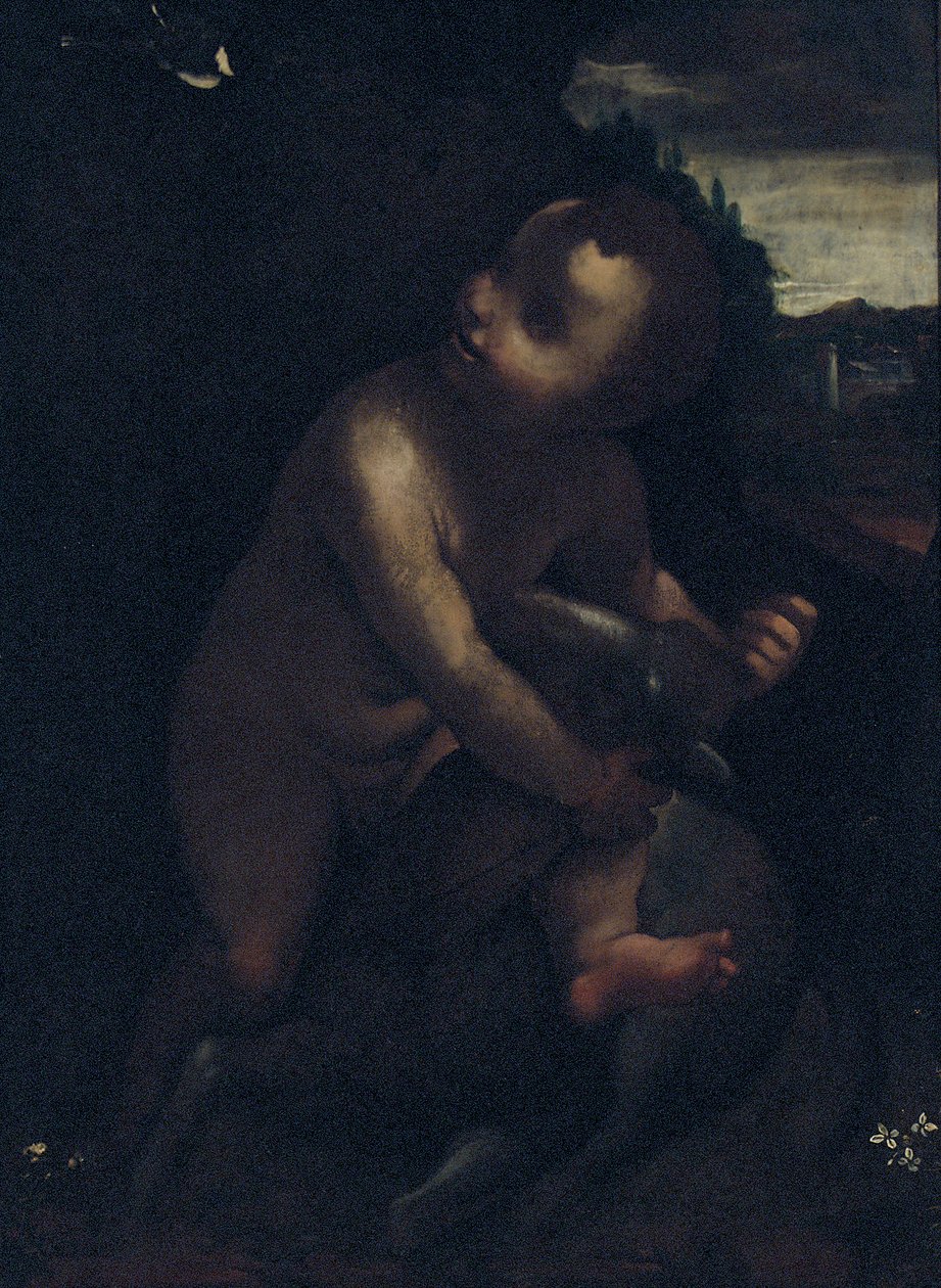 Il bambino San Giovanni Battista da Leonardo da Vinci