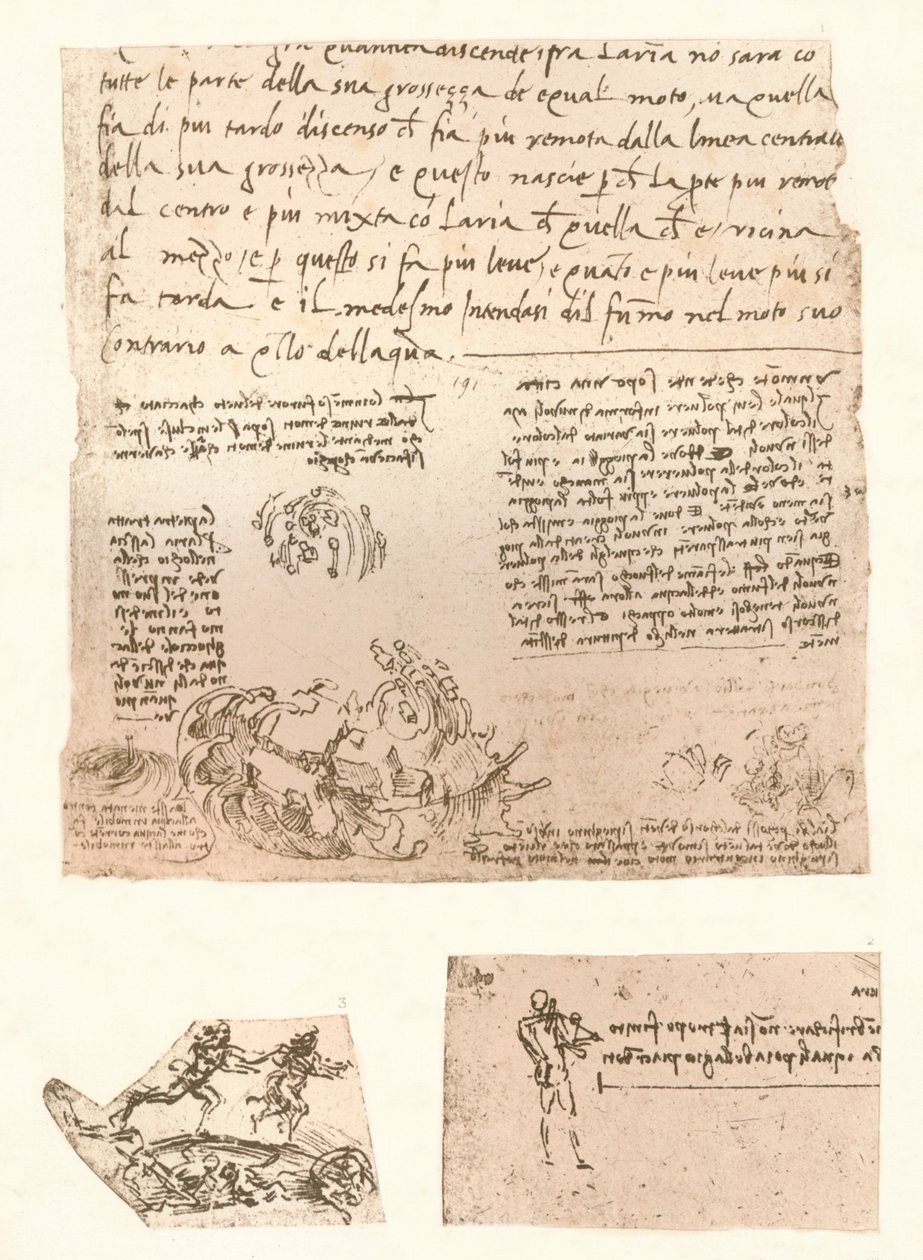 Tre disegni, c1472-c1519, 1883 da Leonardo da Vinci