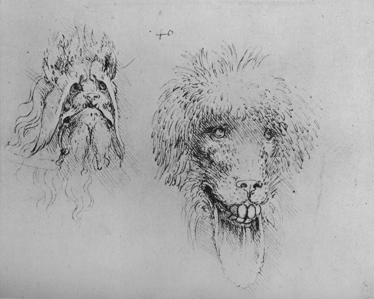 Due teste di mostri, c1480 1945 da Leonardo da Vinci
