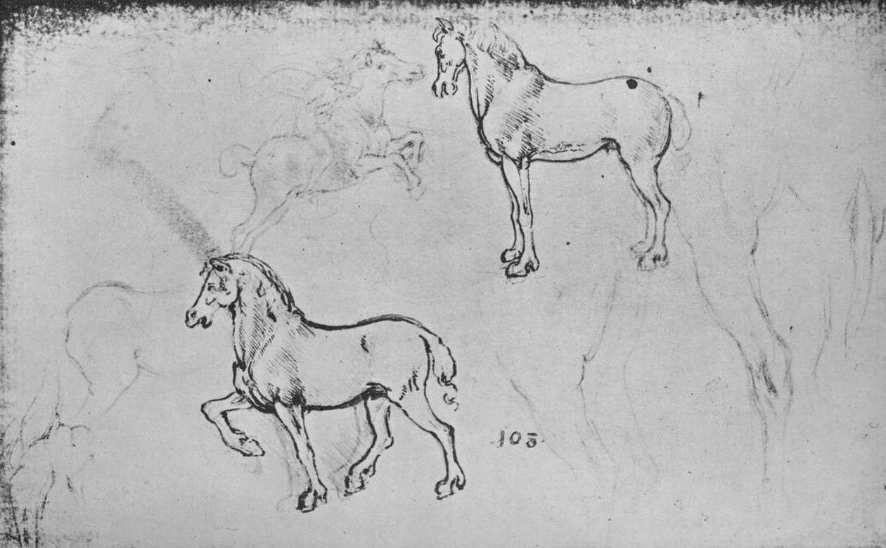 Due studi di cavalli, uno di un cavaliere al galoppo e altri di gambe di cavalli da Leonardo da Vinci