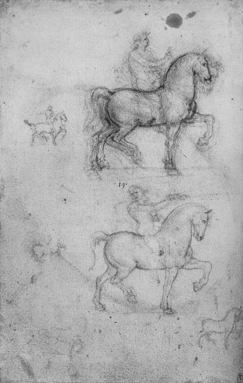 Due studi di cavalli e cavalieri e studi più piccoli di cavalli, c1480 1945 da Leonardo da Vinci